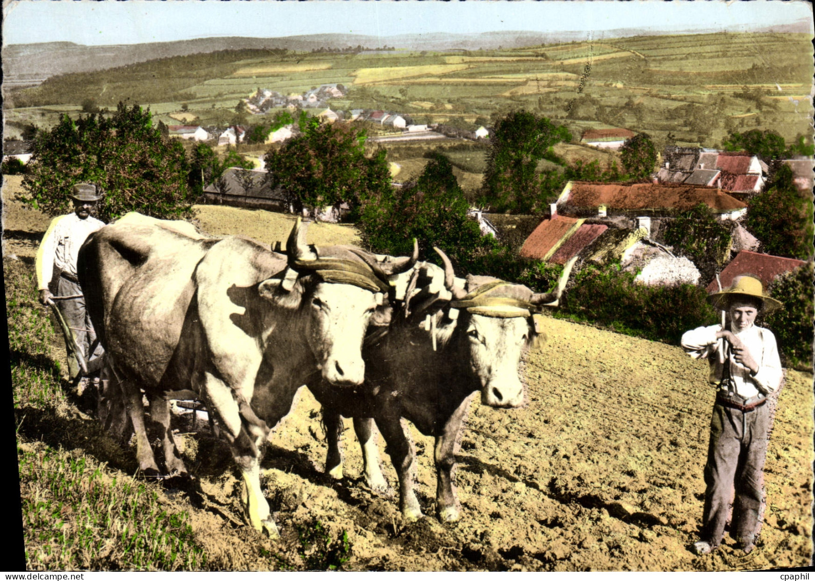 CPSM Folklore le Morvan Autun
