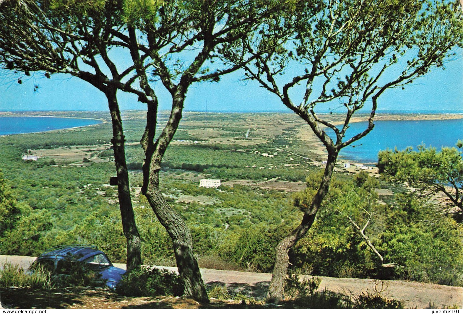CPSM Formentera    L4345