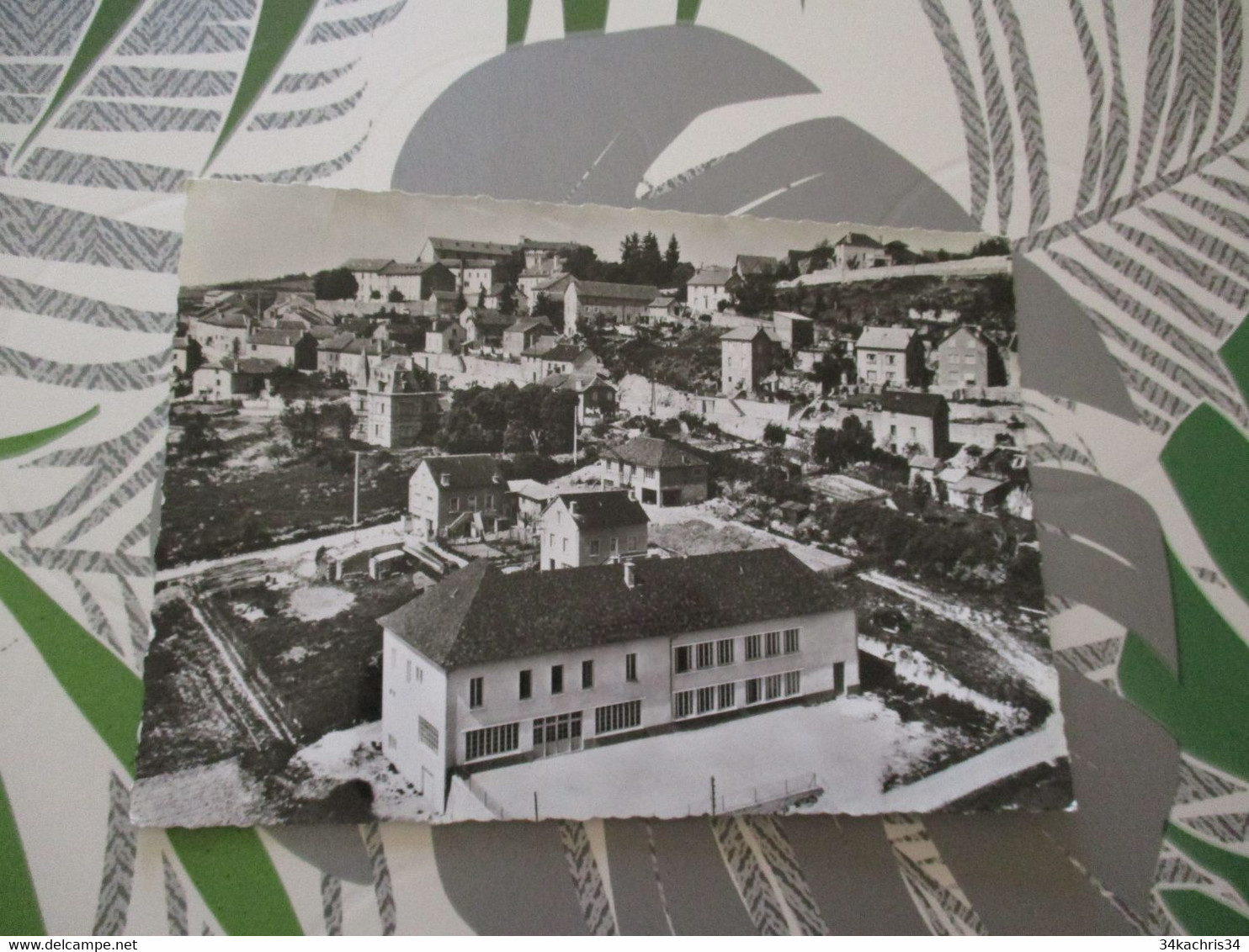 CPSM GF  48 Lozère Saint Alban sur Limagnole le groupe scolaire