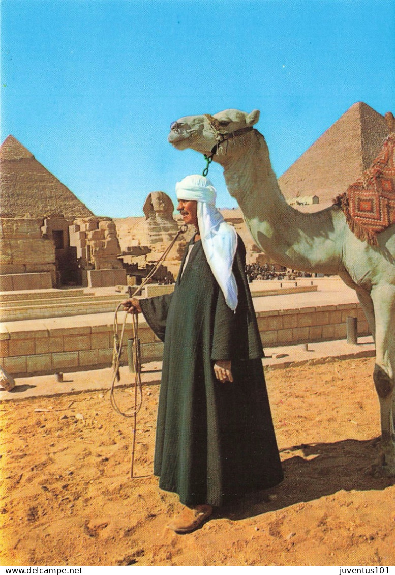 CPSM Giza        L3634