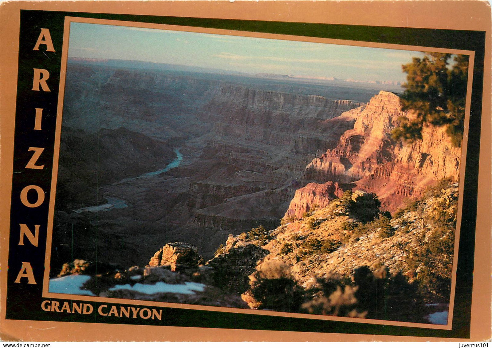 CPSM Grand Canyon-Beau timbre         L726