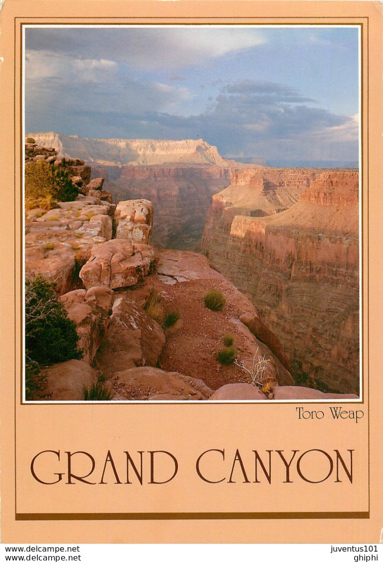 CPSM Grand Canyon                                L2737