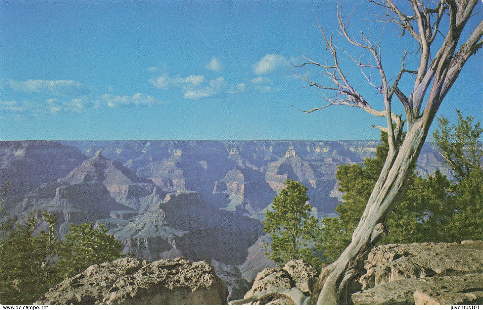 CPSM Grand Canyon   L3910