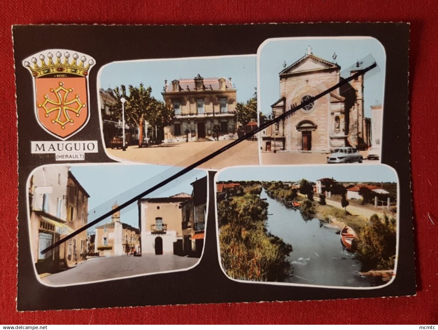 CPSM grand format - Mauguio -( Hérault)