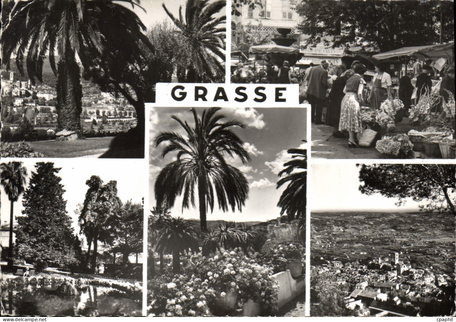 CPSM Grasse Souvenir