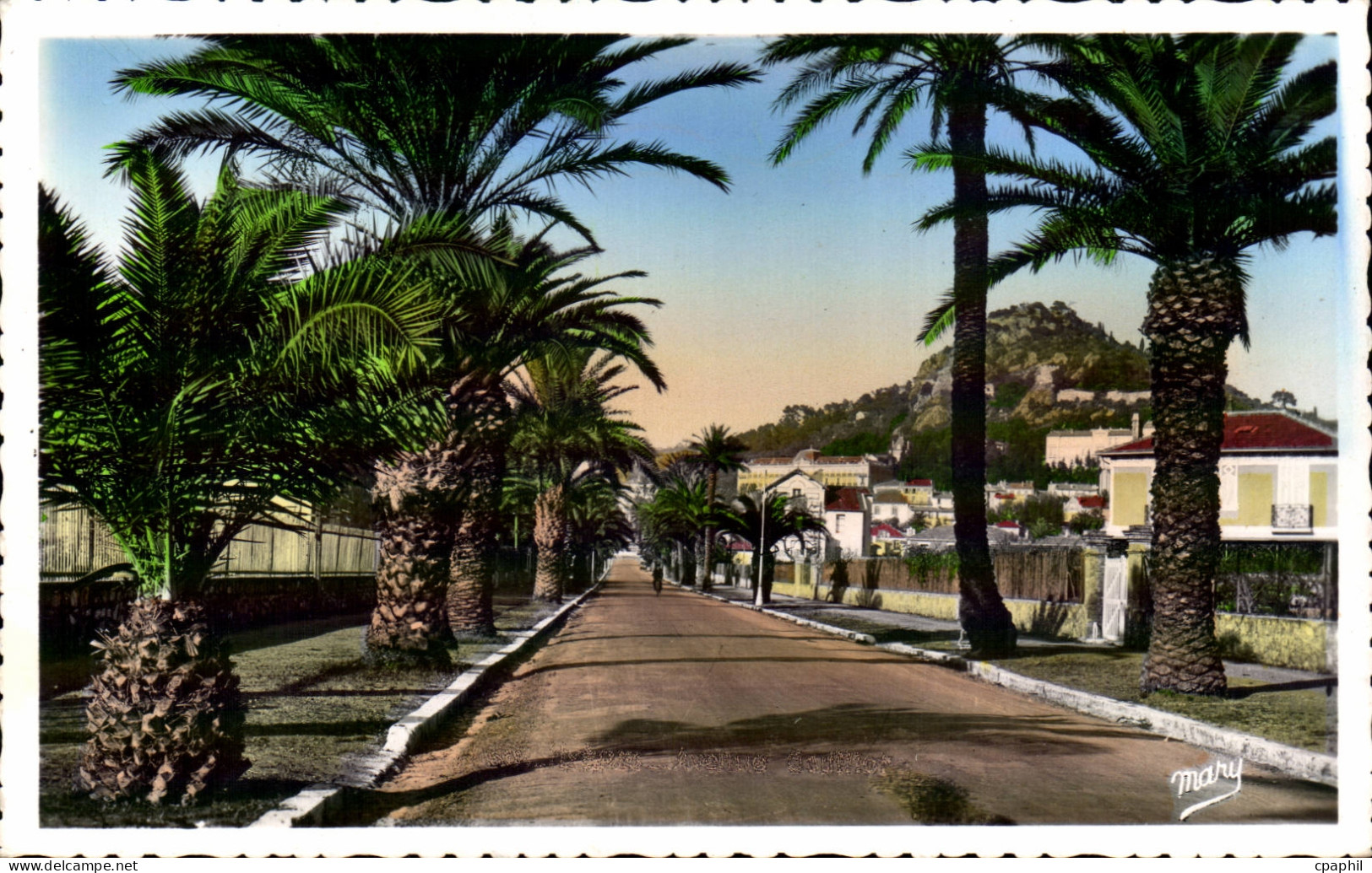 CPSM Hyeres Avenue Godillot