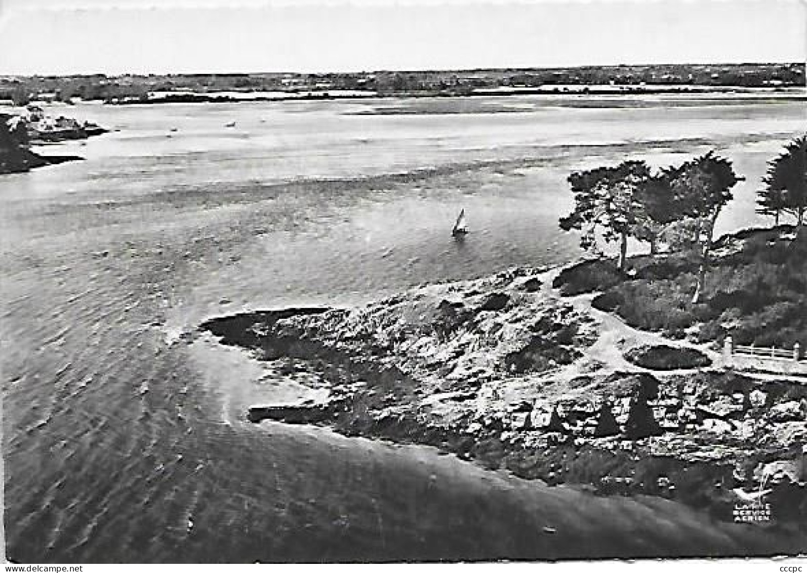 CPSM Ile aux Moines La Pointe du Bois d'Amour