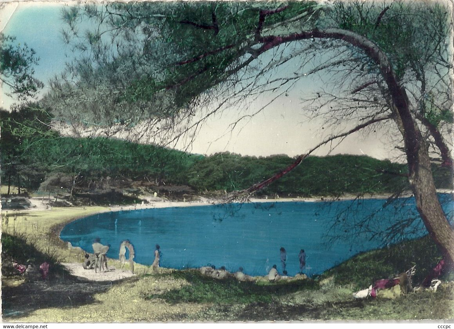 CPSM Ile de Porquerolles La Plage d'Argent