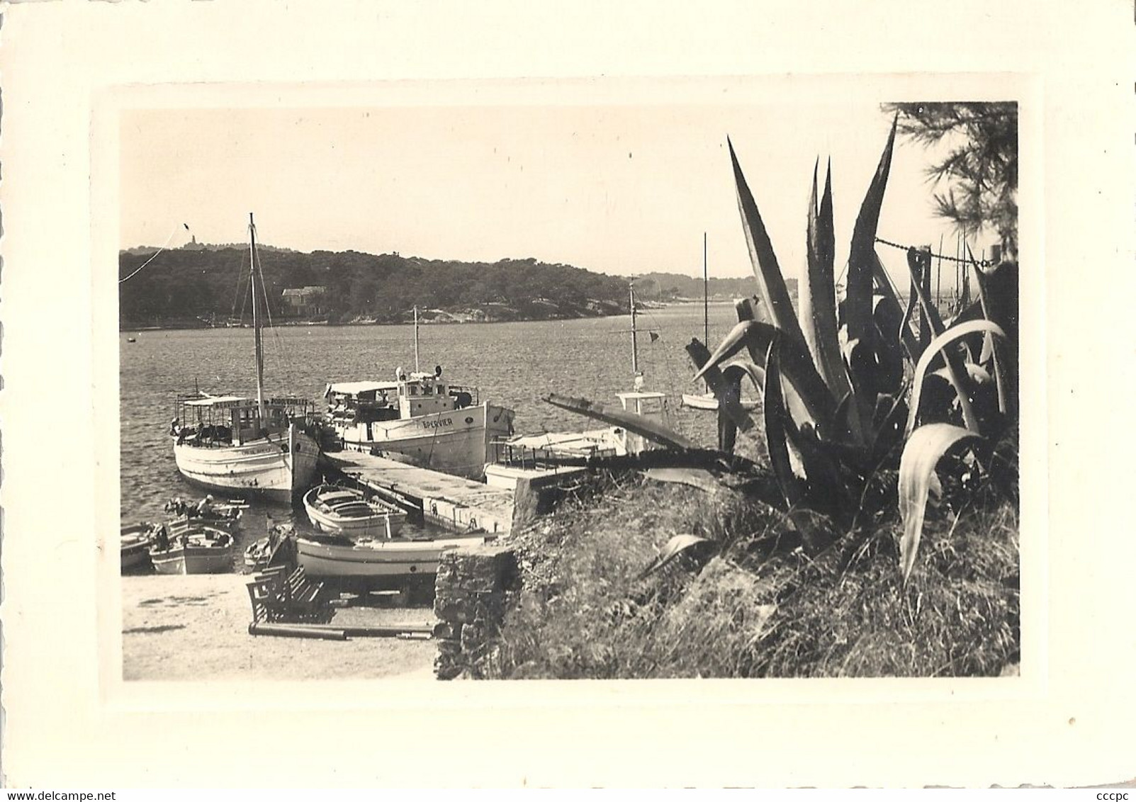 CPSM Ile de Porquerolles vue vers le Port