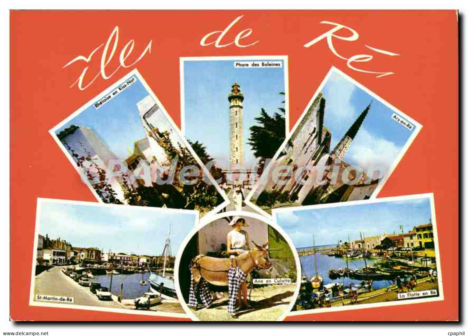 CPSM Ile De Re