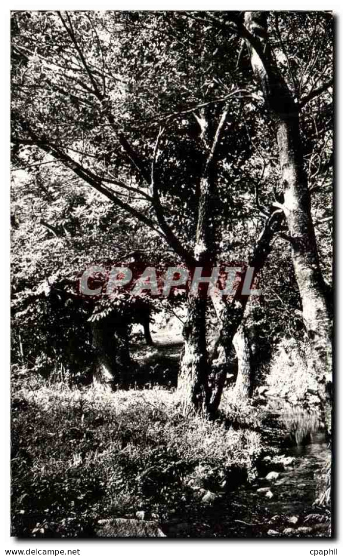 CPSM La Garde Freinet Sous Bois