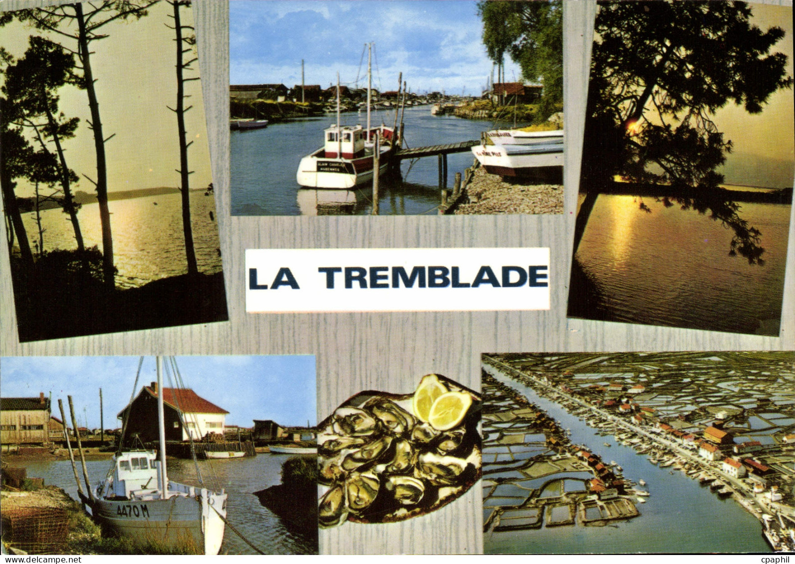 CPSM La Tremblade Centre Ostreicole Sur La Seudre