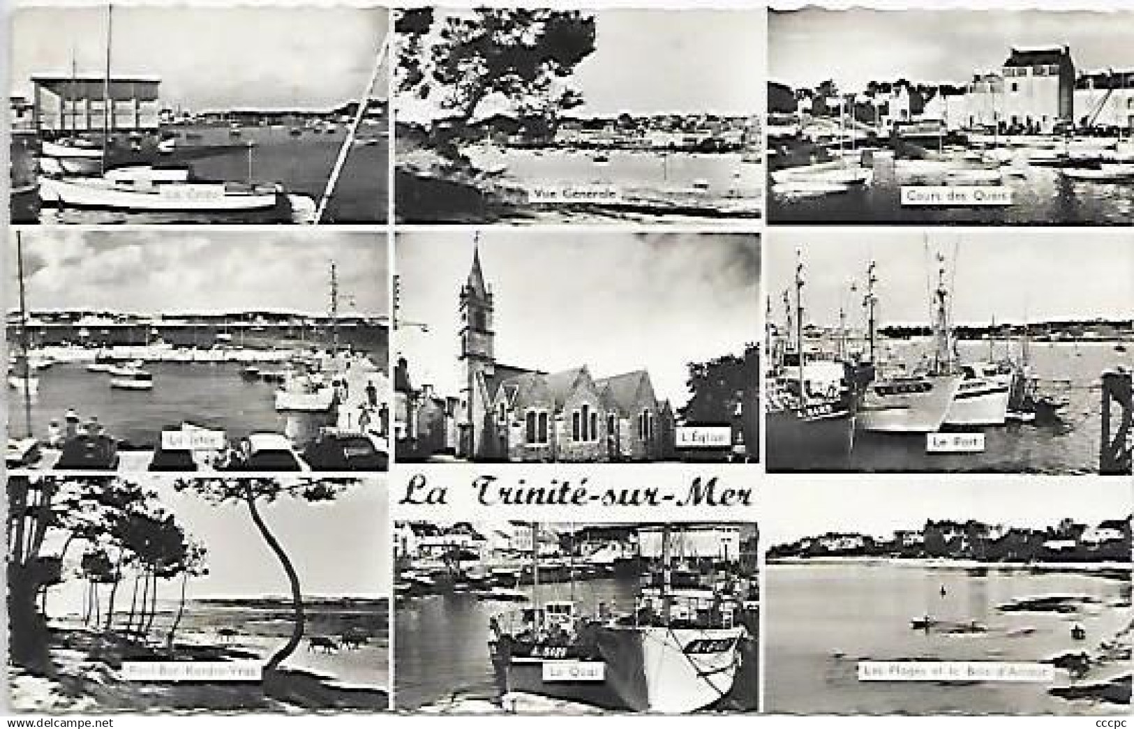 CPSM La Trinité sur Mer vues multiples