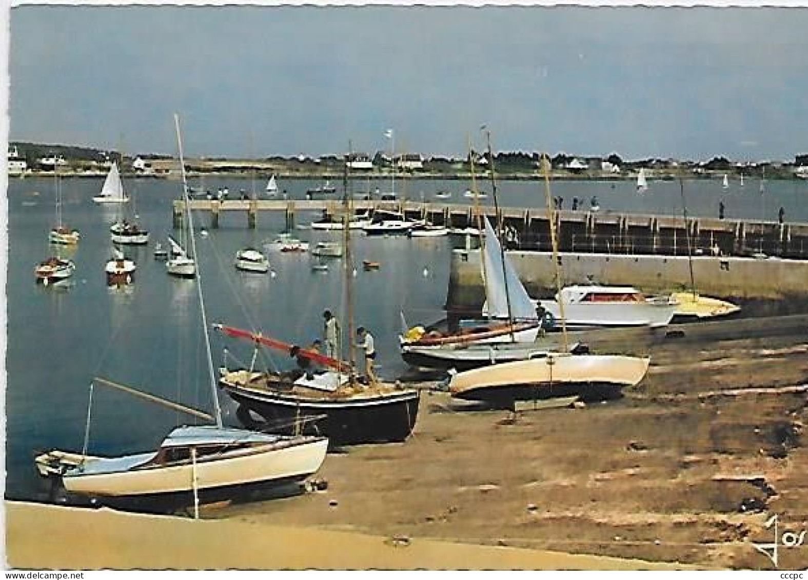 CPSM La Trinité-sur-Mer - Yachts près de la digue
