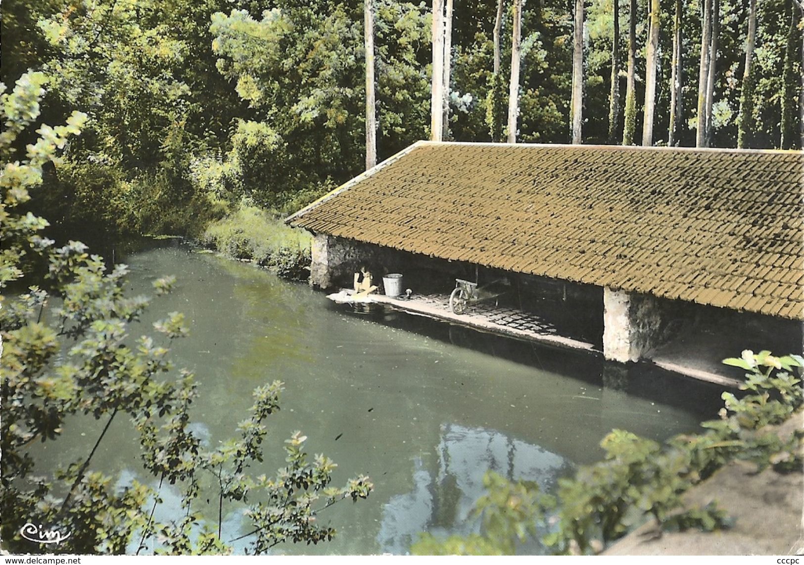 CPSM Lardy Le Lavoir sur la Juine