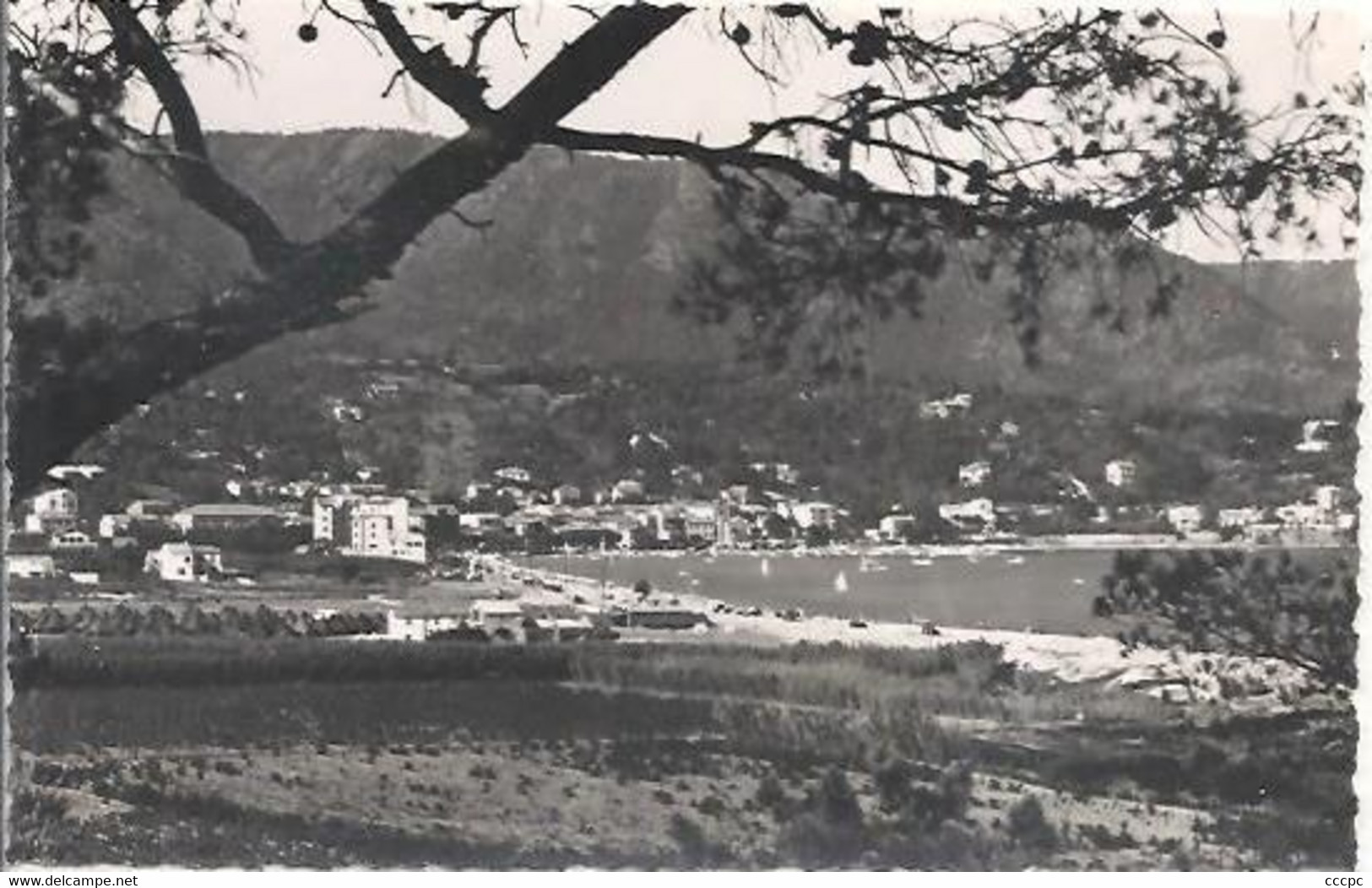 CPSM Le Lavandou Corniche des Maures