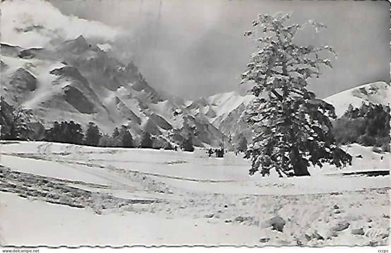 CPSM Le Mont-Dore Le Sancy