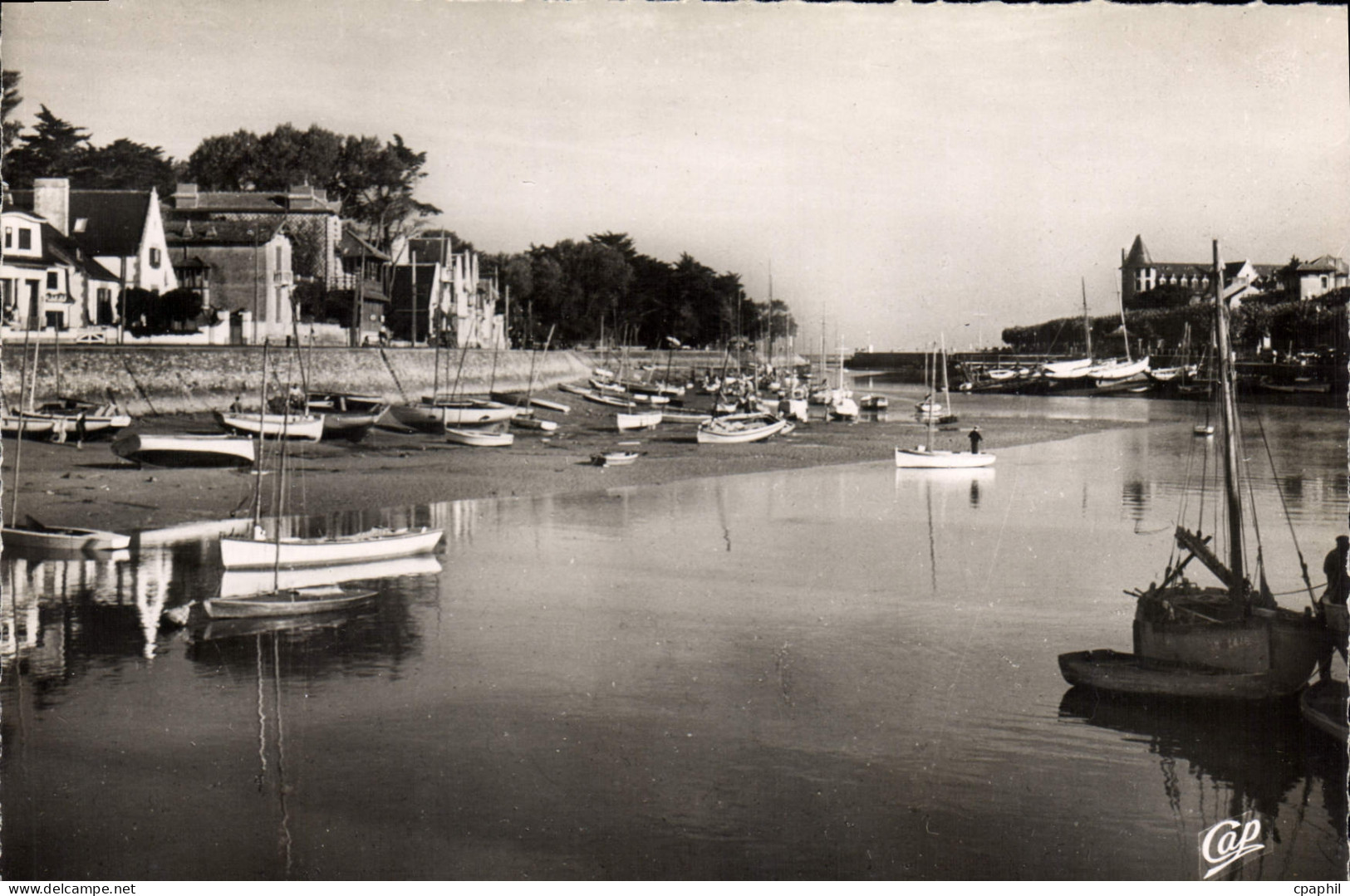 CPSM Le Pouliguen le port de la Baule au Pouliguen