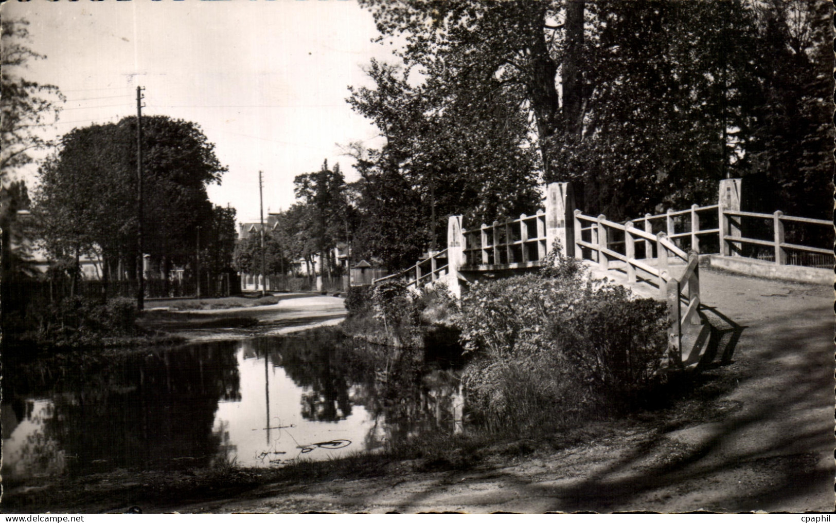 CPSM Le Vesinet Bord du Lac des Ibis Le Pont