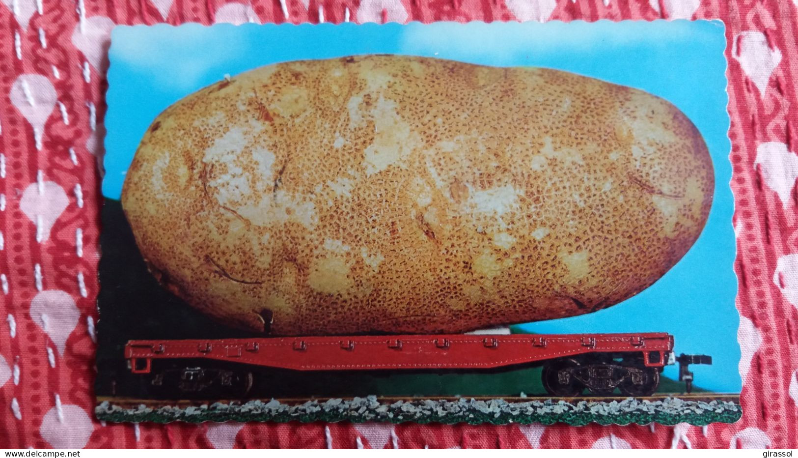 CPSM LES FAMEUSES PATATES DE NOUVEAU BRUNSWICK CANADA 1983 POTATOES