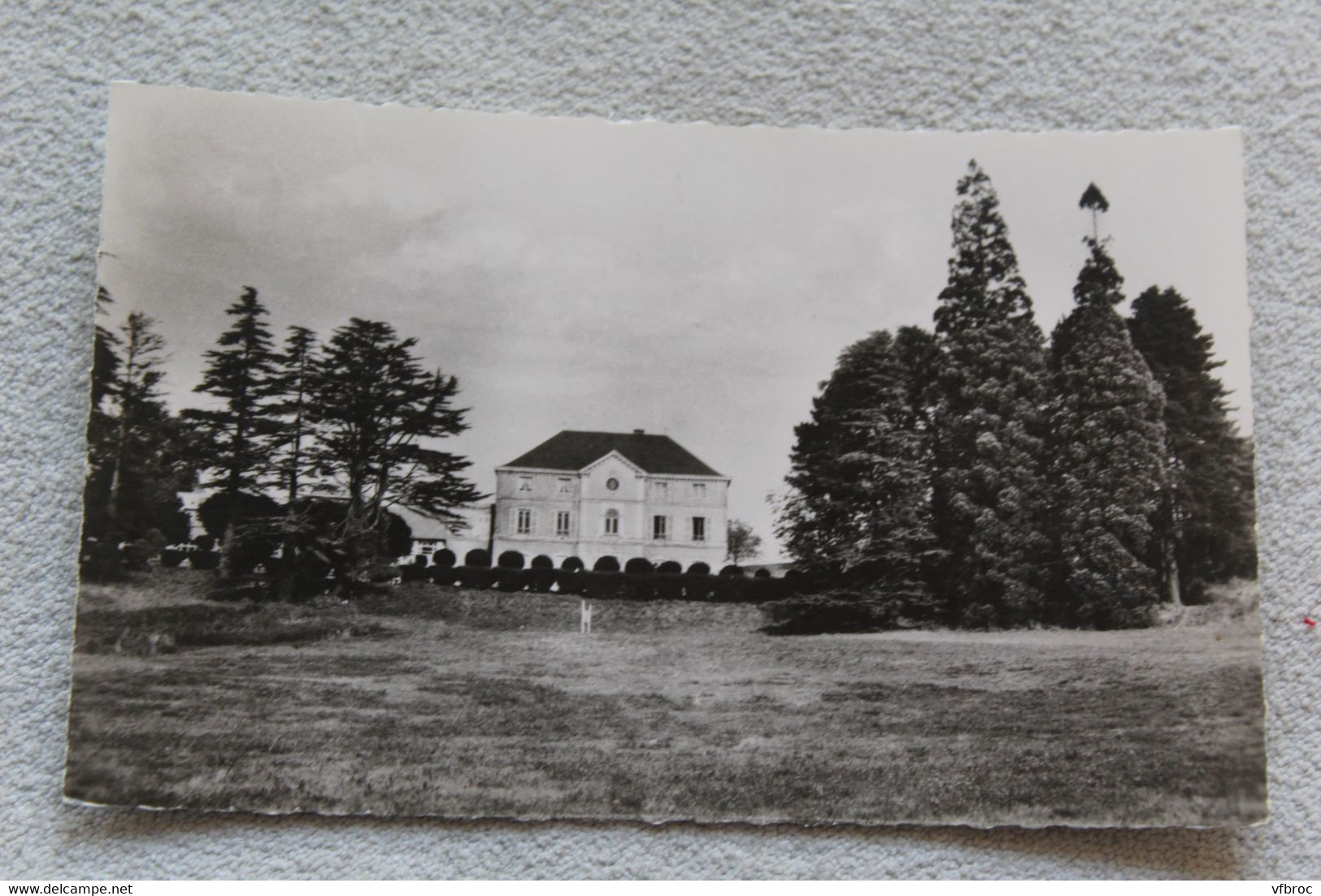 Cpsm, Lozanne, château Lasalle, Rhône 69