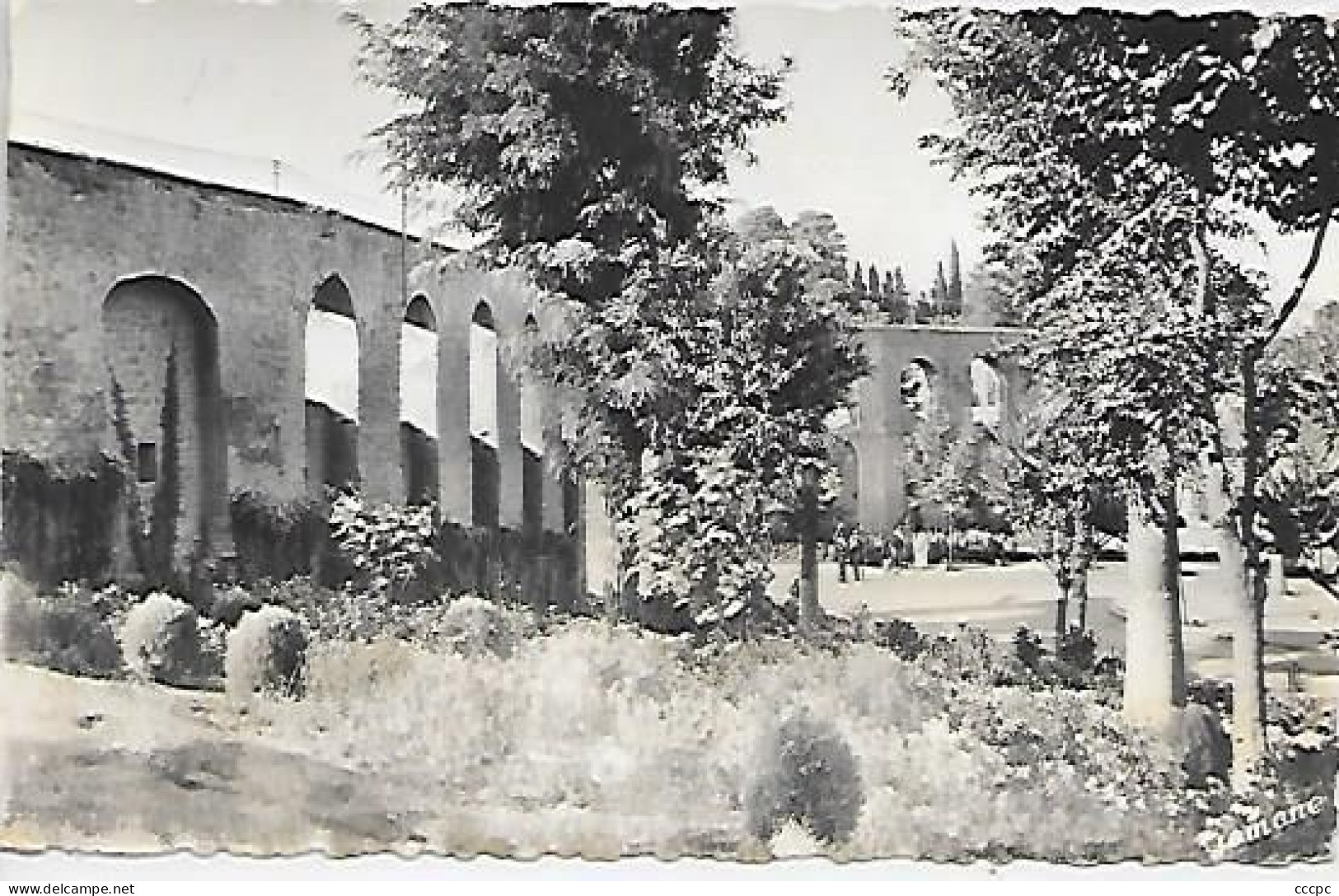 CPSM Medea Les Portes de Lodi