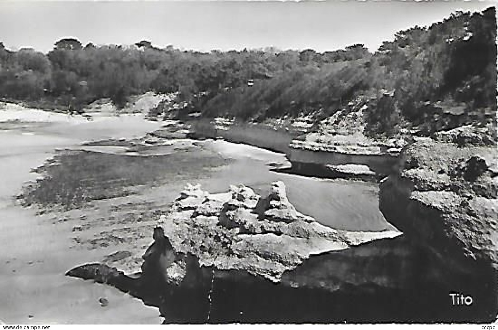 CPSM Meschers - Plage et Falaise de l'Arnèche