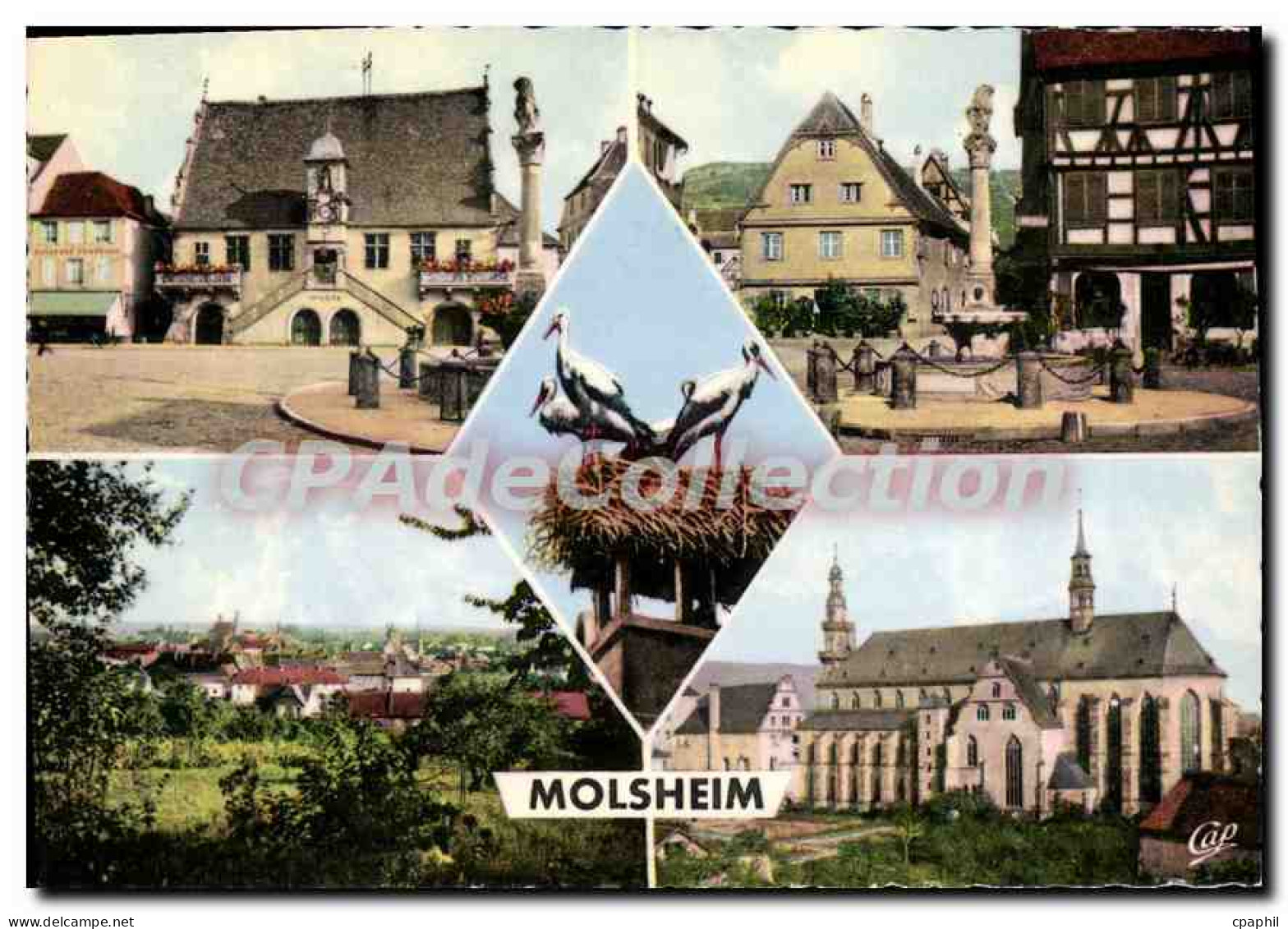 CPSM Molsheim Place de l'Hotel de Ville Vue generale musée