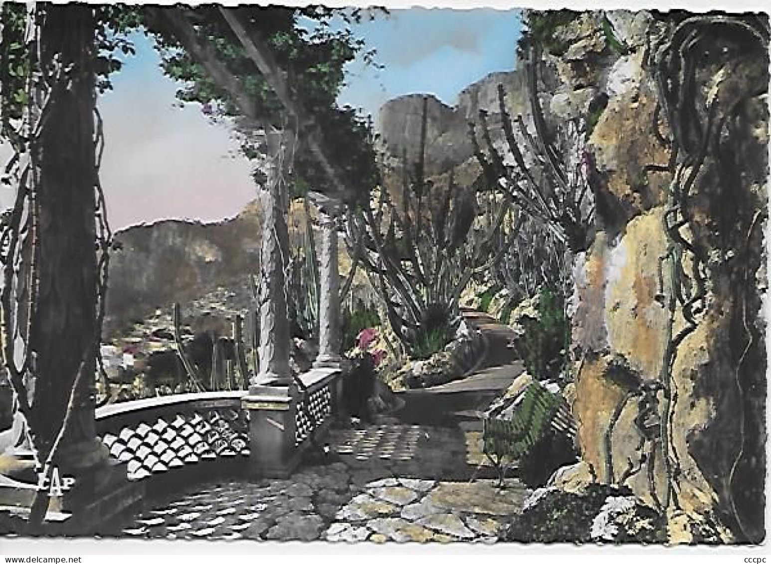 CPSM Monaco - Jardin Exotique