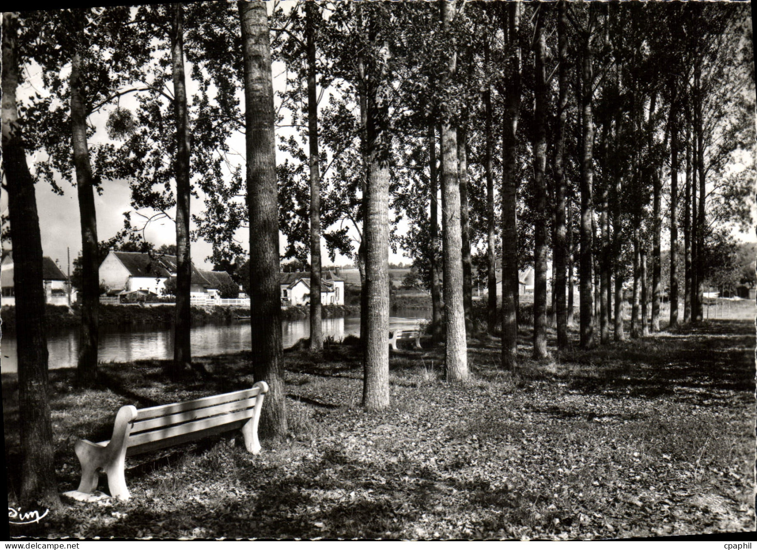 CPSM Moneteau Yonne Les Bords de l'Yonne le Terrain de Camping