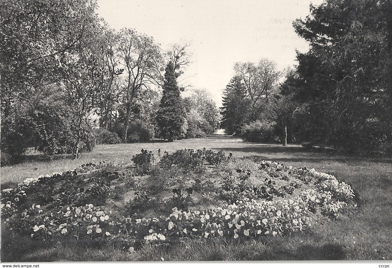 CPSM Montesson Ecole Théophile Roussel Jardin Anglais