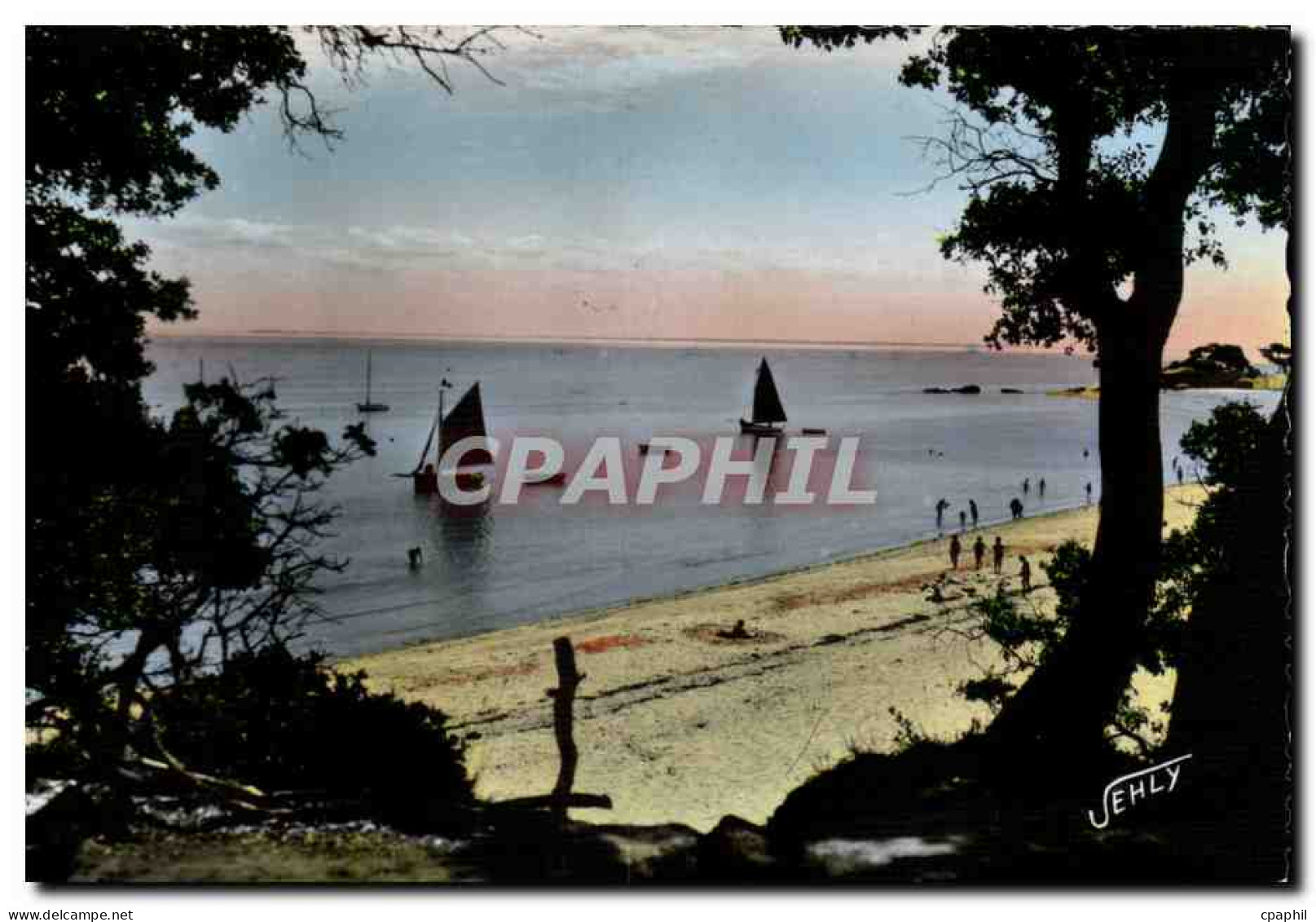 CPSM Noirmoutier Paysage