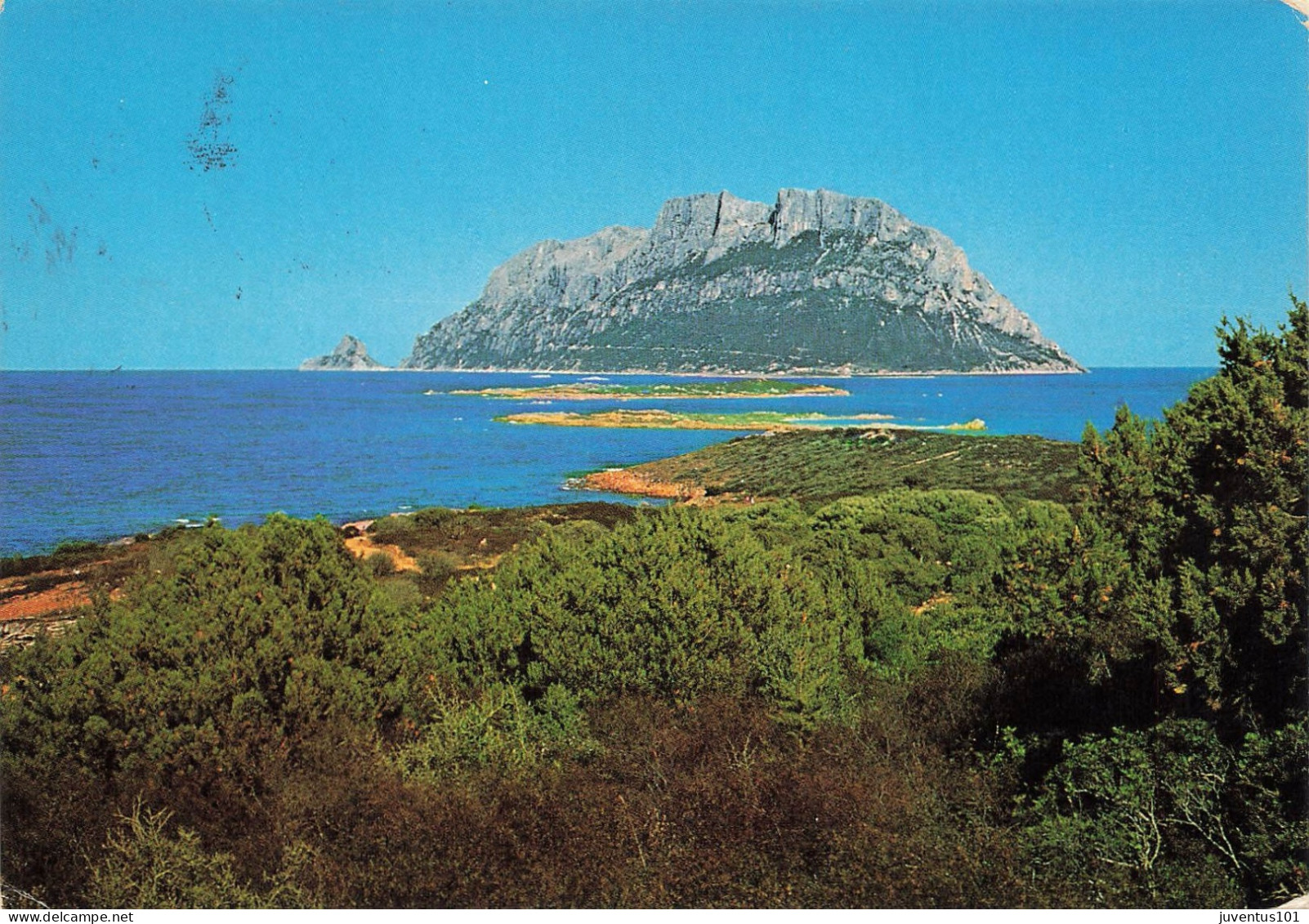 CPSM Olbia-Isola di Tavolara-Timbre      L2921