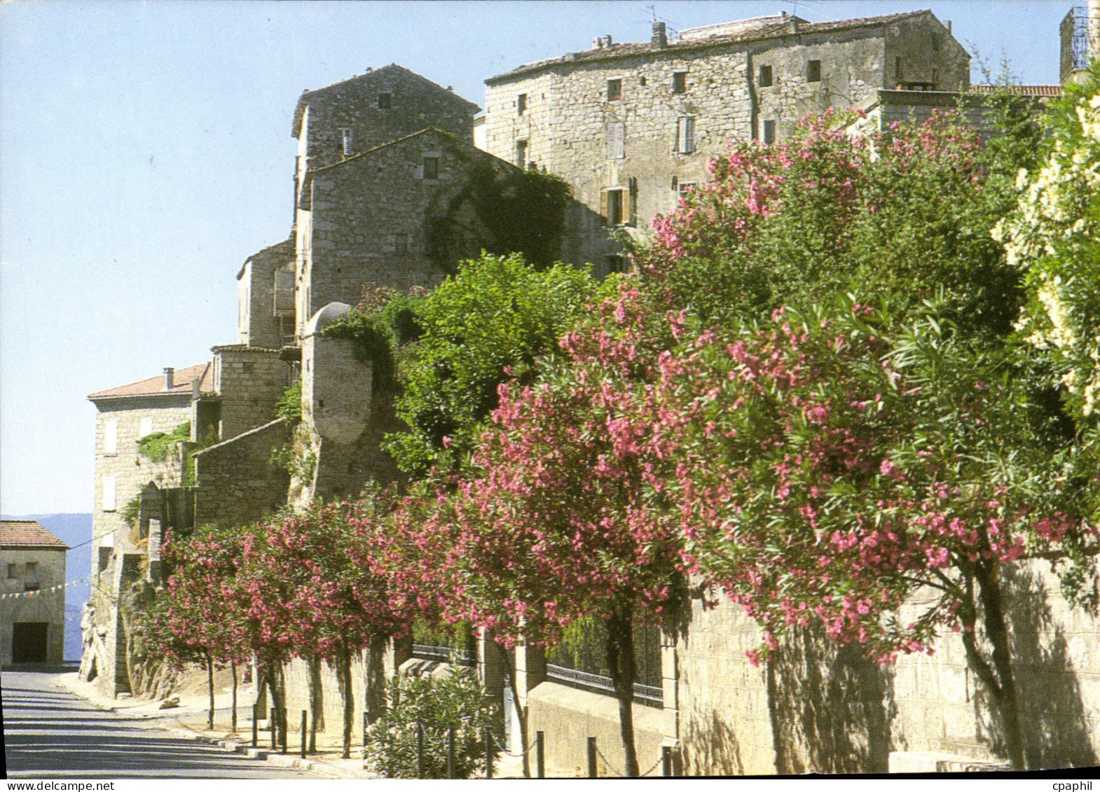 CPSM Panorma De La Corse Sartene