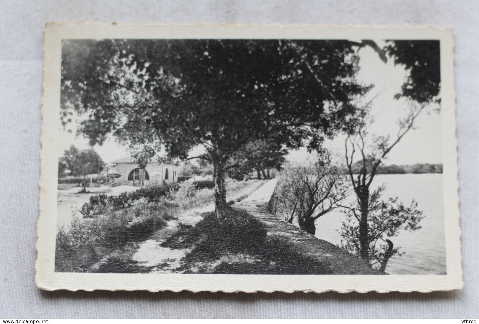 Cpsm, Pertuis, étang de la Bonde, Vaucluse 84