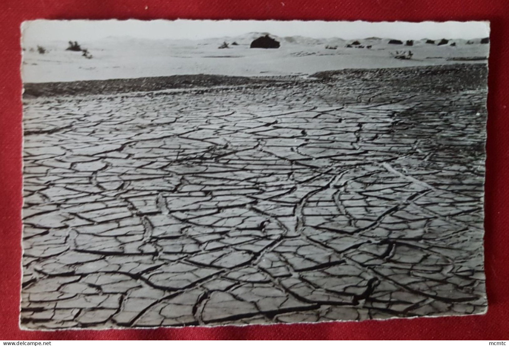 CPSM petit format-  Collection "Sahara" - Soif