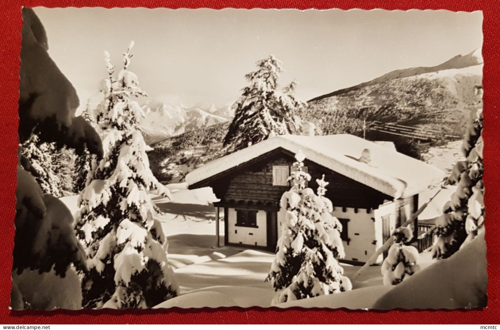 CPSM petit format - Les Collons s/Vex