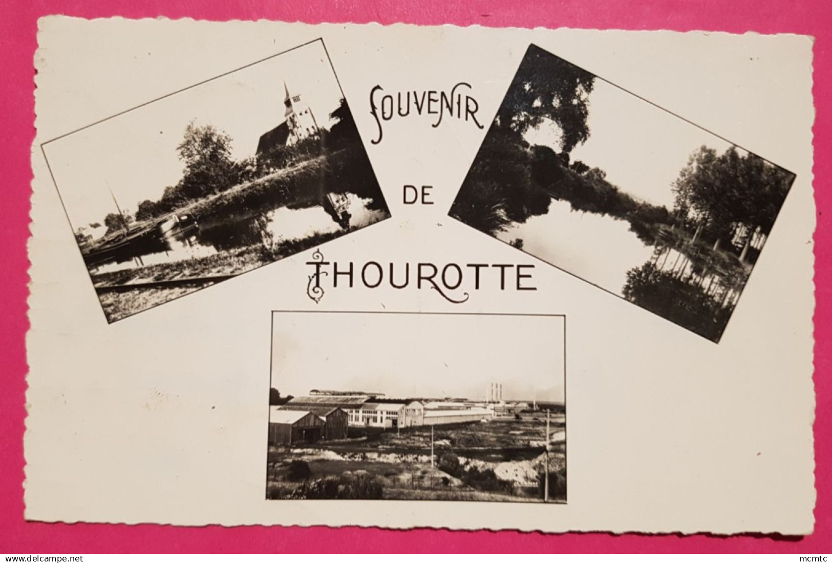 CPSM petit format - Souvenir de Thourotte - Vivers aspects de Thourotte -(Oise)