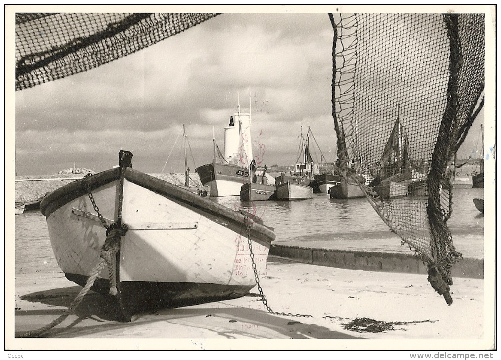 CPSM Piriac sur Mer un aspect du Port