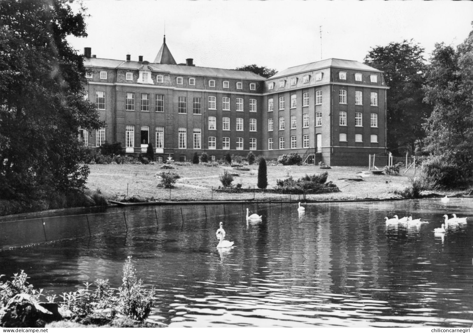 * Cpsm - PITTEM - Neuro Psychiatrische Kliniek St Jozef - Achterzicht - Clinique Neuro Psychiatrique - Studio MAES