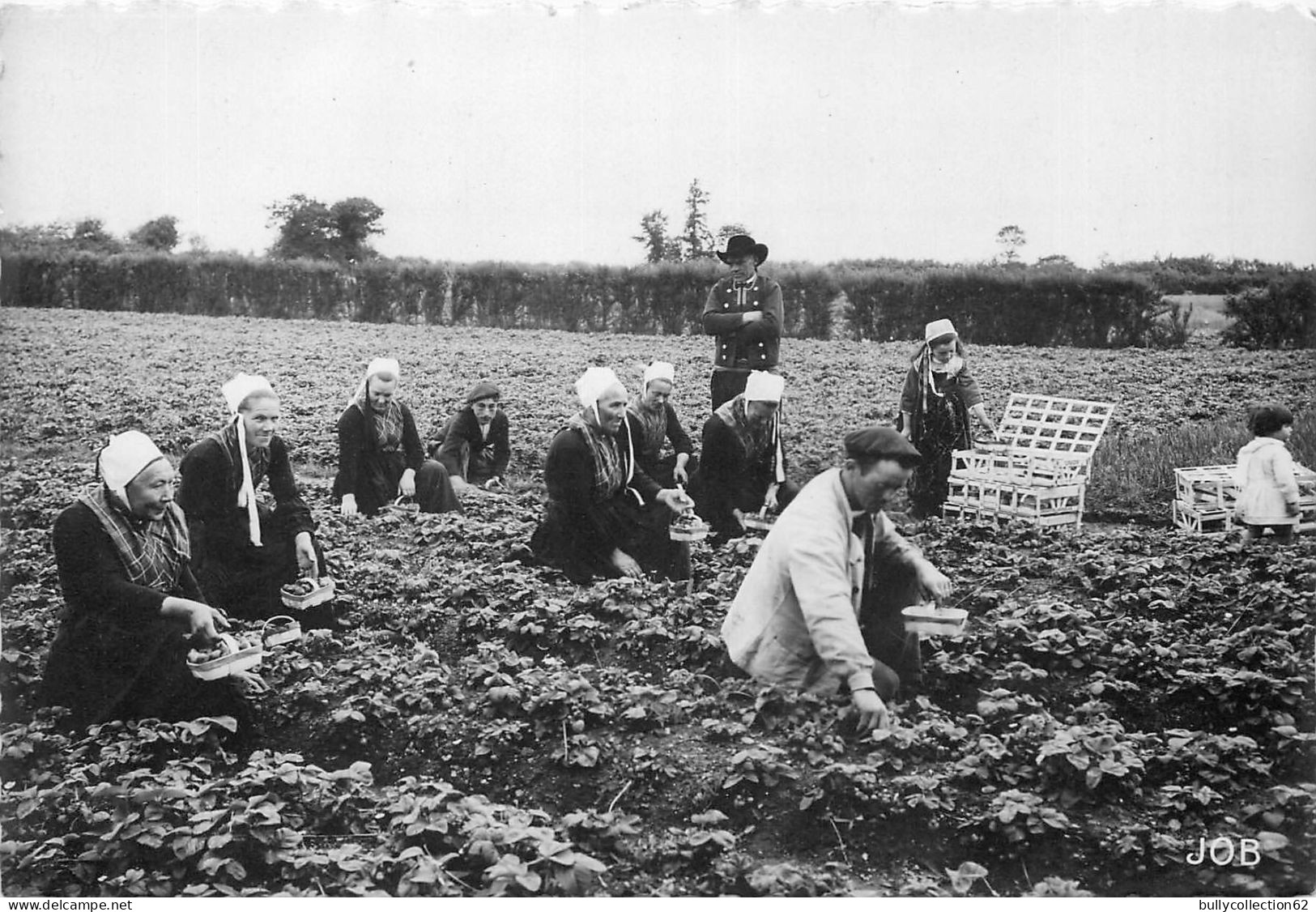 CPSM Plougastel-Daoulas  29/108