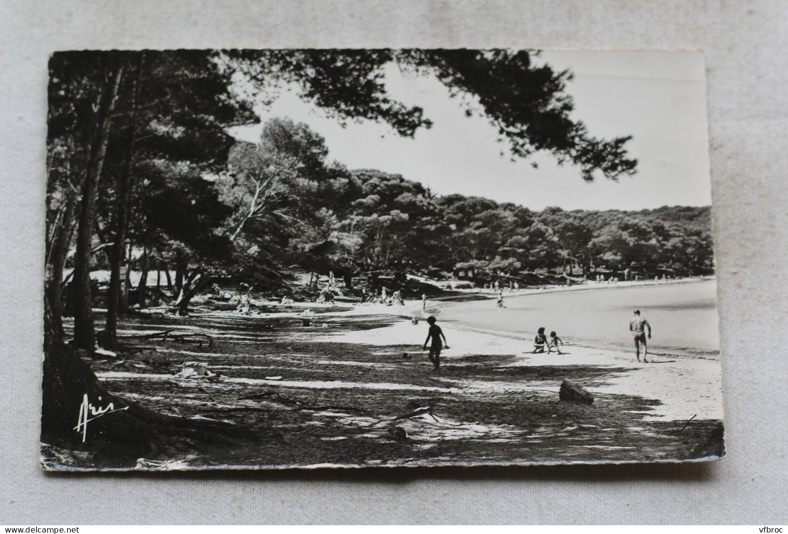Cpsm, Porquerolles, la plage d'Argent, Var 83