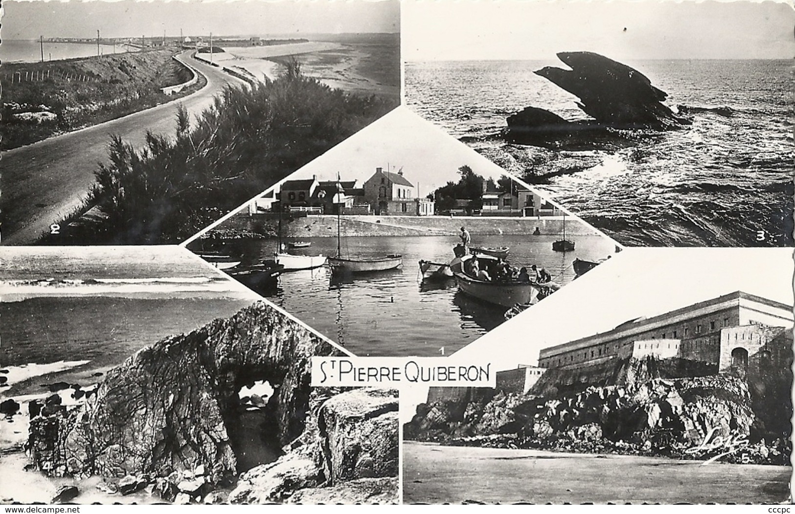 CPSM Quiberon vues multiples
