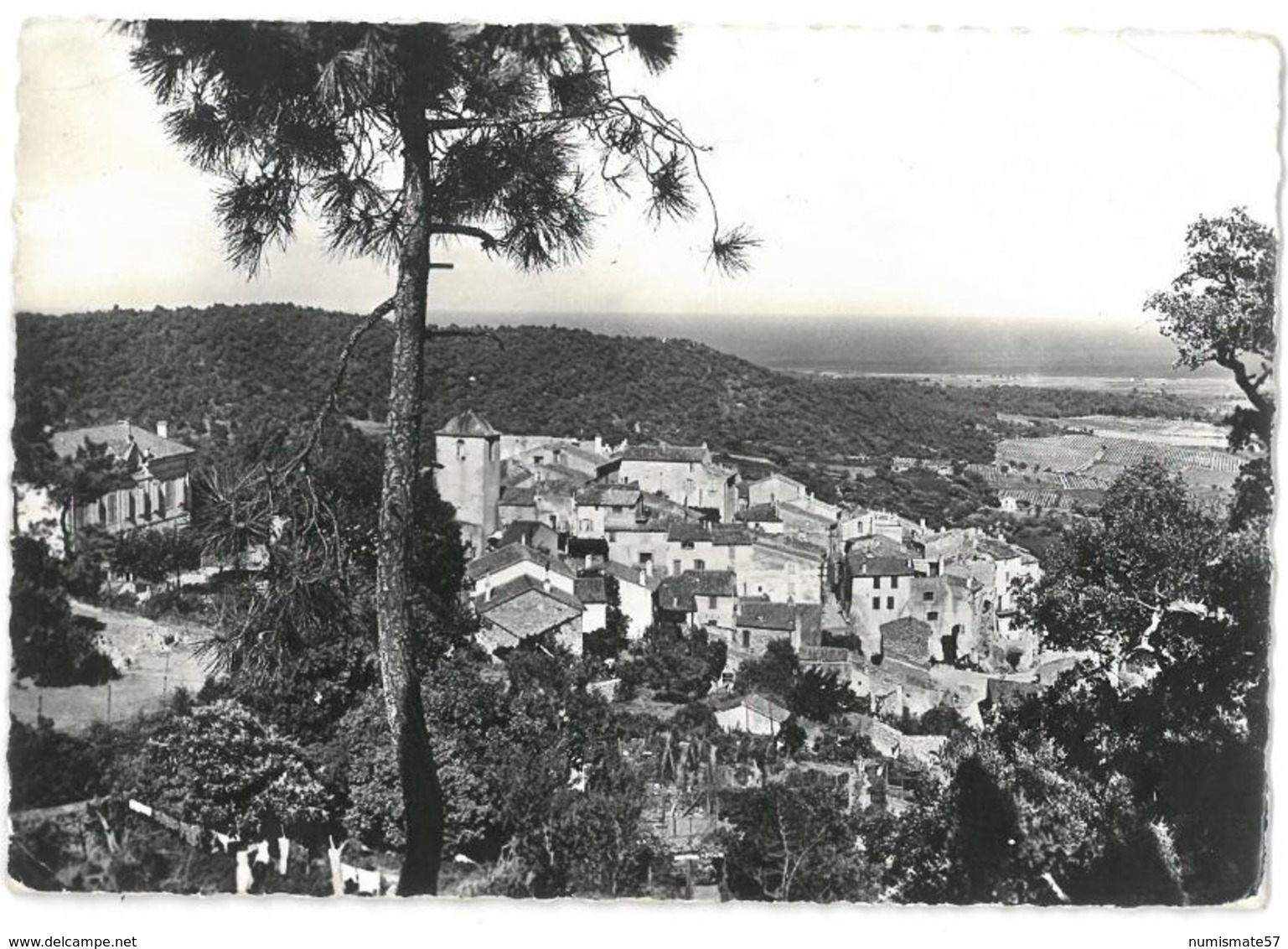 CPSM RAMATUELLE - Vue générale - Collection Arnaud , Ramatuelle n° AD16