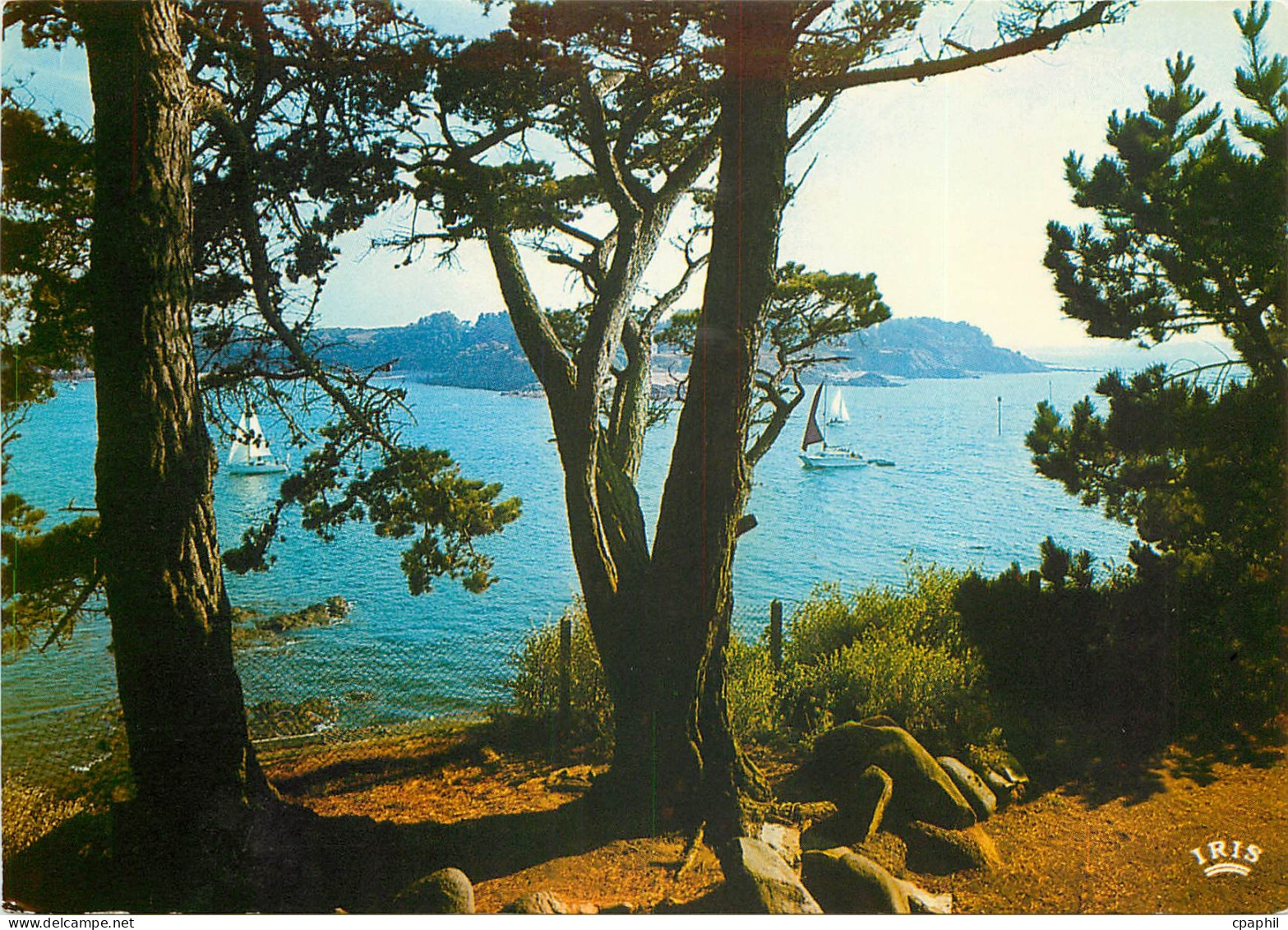 CPSM Saint Briac (Illes et Vilaine)