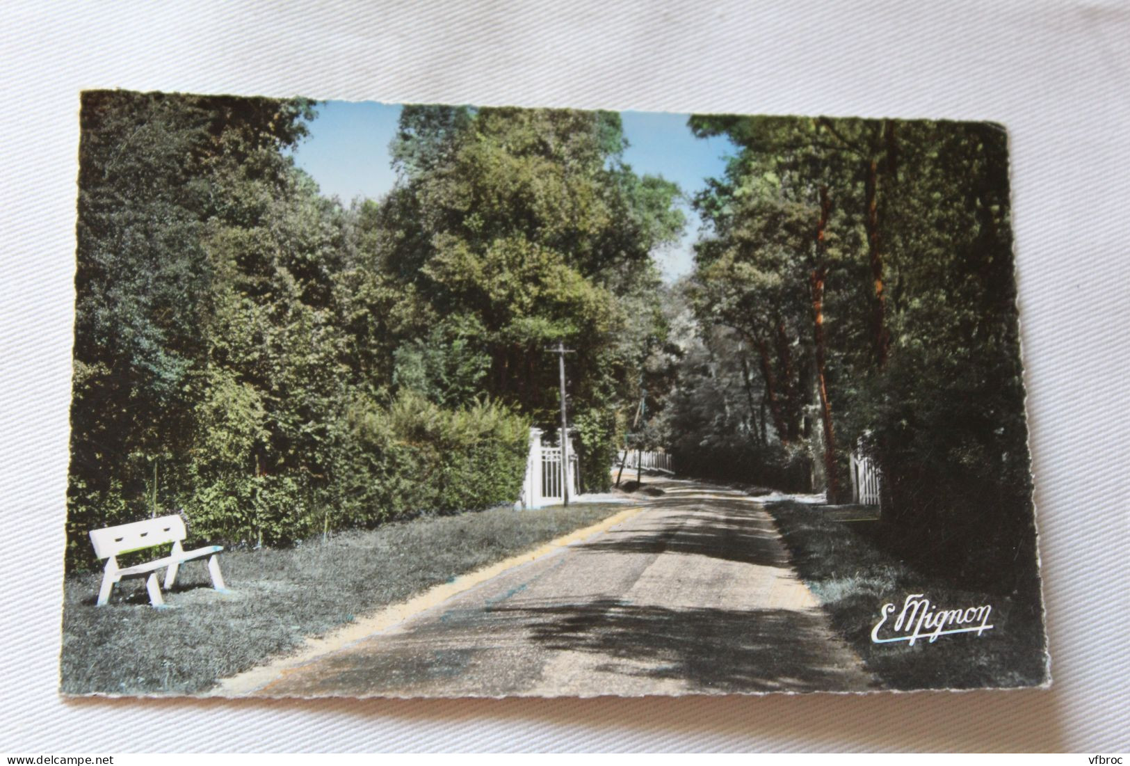 Cpsm, Saint Fargeau, avenue de la gare, Seine et Marne 77