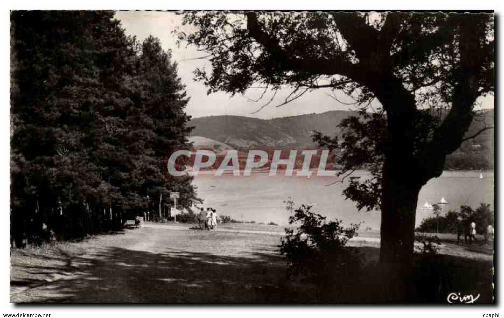 CPSM Saint Ferreol Le bassin et ses pins