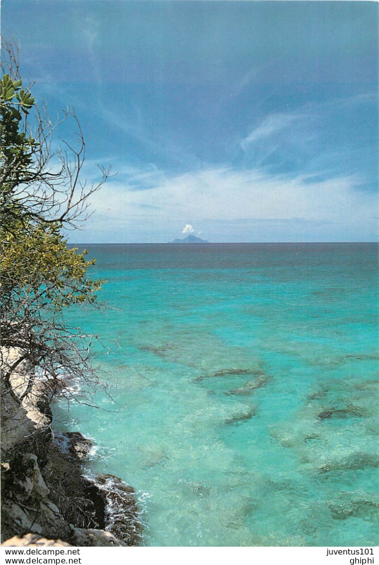 CPSM Saint Martin-Fonds marins et Saba                      L2750