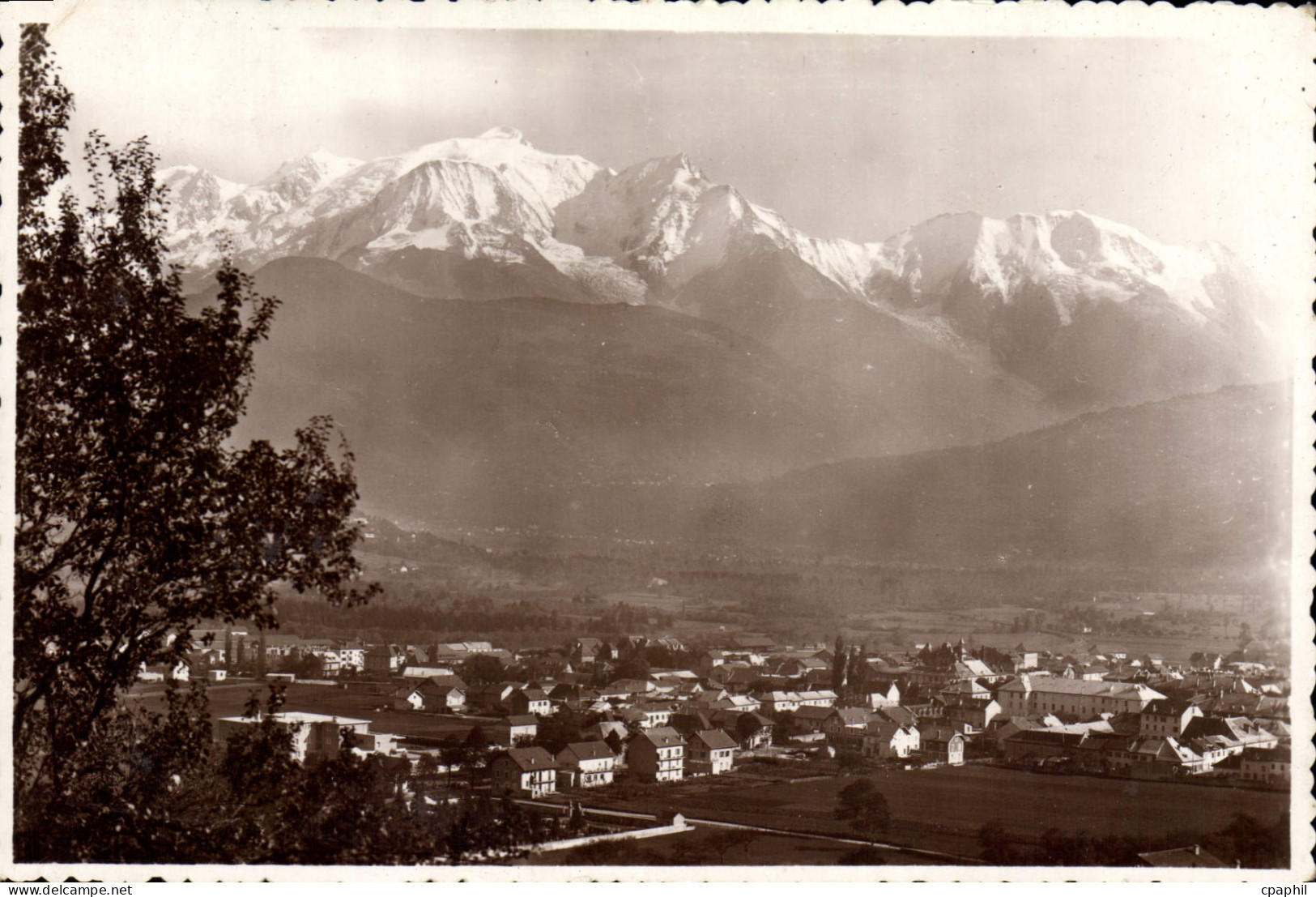 CPSM Sallanches Et Le Mont Blanc