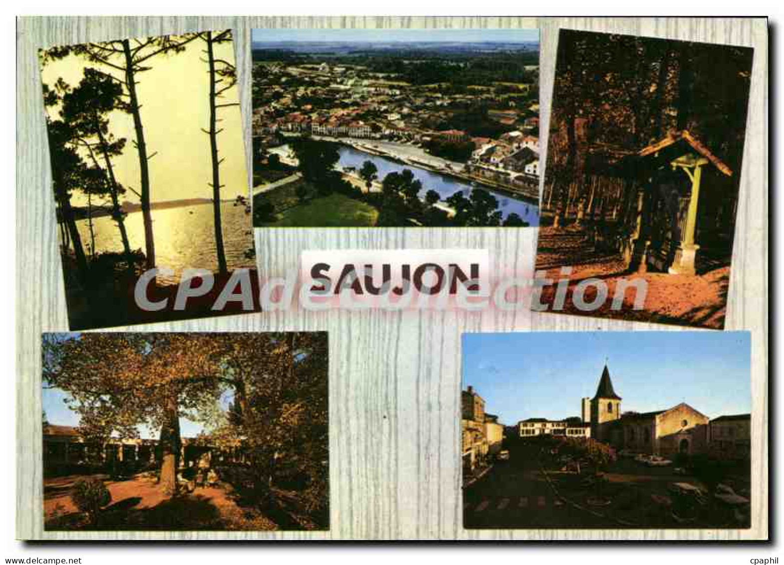 CPSM Saujon La Cote Le Port De Riberoux